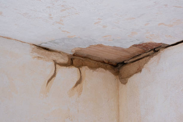 Best Emergency water damage restoration  in Bridgeport, IL