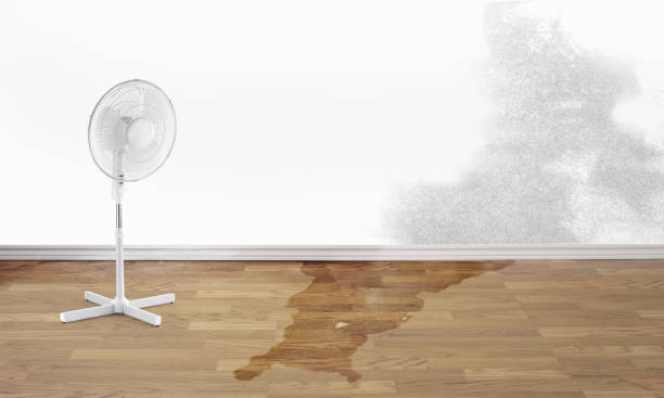 Best 24-hour water damage restoration  in Bridgeport, IL