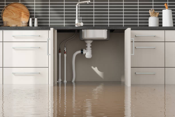 Best Flood restoration services  in Bridgeport, IL