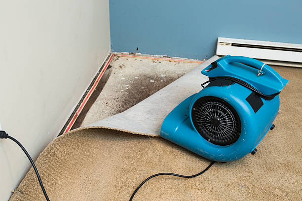 Best Residential water damage restoration  in Bridgeport, IL
